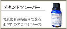 �ǥ���ȥե졼�С�