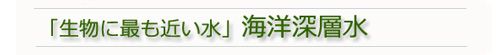 生物にもっとも近い水　海洋深層水