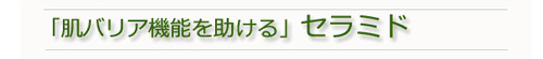 肌バリア機能を助けるセラミド