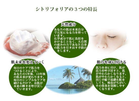 シトリフォリアの３つの特長