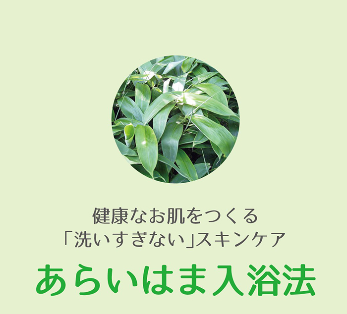 あらいはま クマ笹