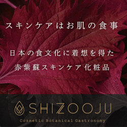 シズージュ